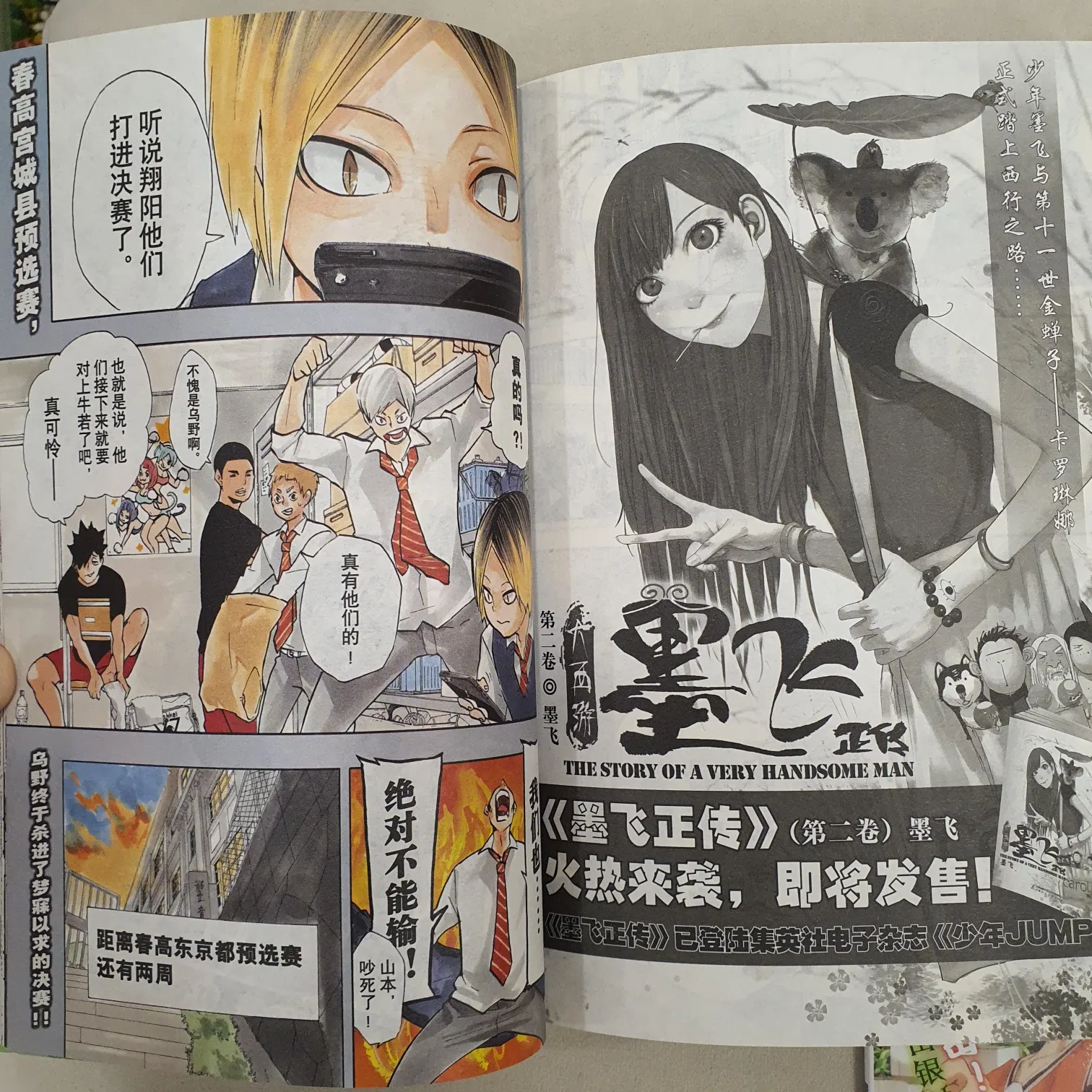 Manga Shonen